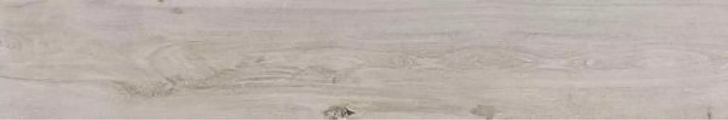 017.871.0364.09741 Керамогранит Rovere Desert 20x120