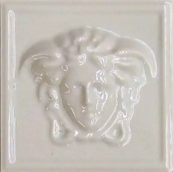 0262671 MEDUSA 3D CREMA 10 x 10