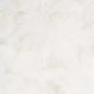 0262766 Palme A Crema/Bianco 78x78