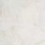0262769 Palme B Crema/Bianco 78x78