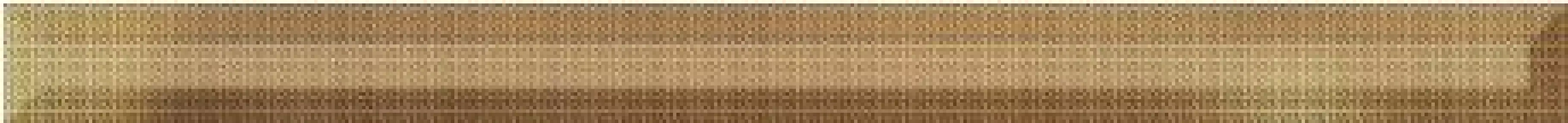 0265043 LIST.DIAMANTATO GOLD 5x60