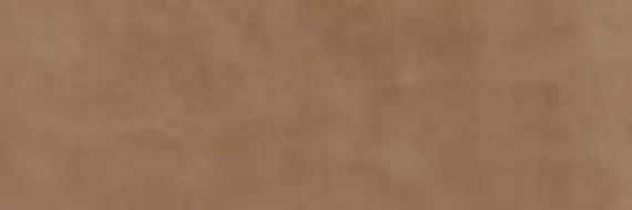 031.627.0056.11183 Eleganza Terra 33.3x100