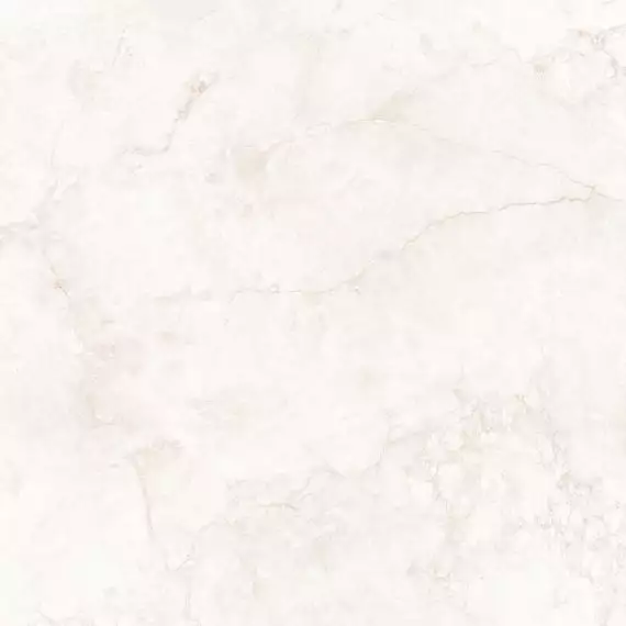 033.120.0163.00569 Керамогранит Hermes Cream Antic 120x120