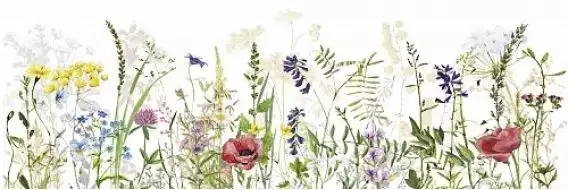 04-01-1-17-05-01-2830-1 Плитка Вставка Flora bloom 20х60