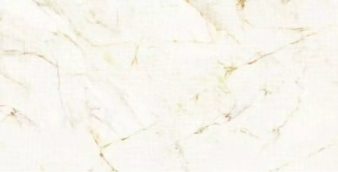0500912 Lush Calacatta Oro Animalier Lux 59,4x119