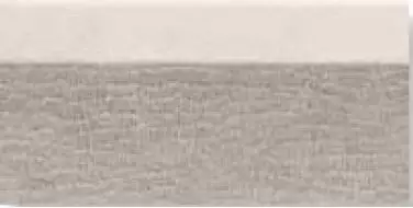 0556824 Tanduk Alzata Conchig 10x20