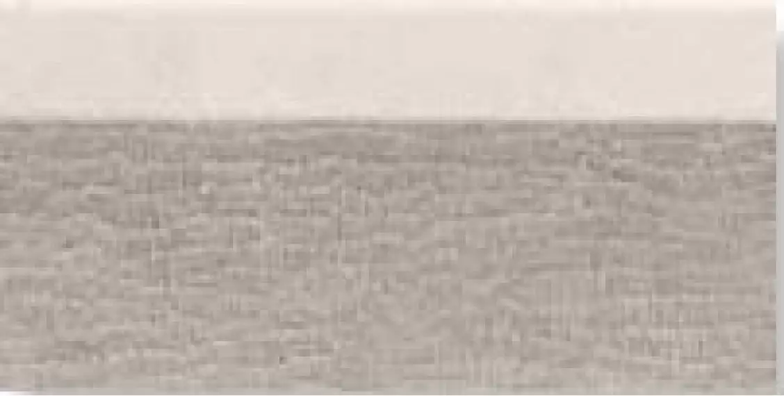 0556824 Tanduk Alzata Conchig 10x20