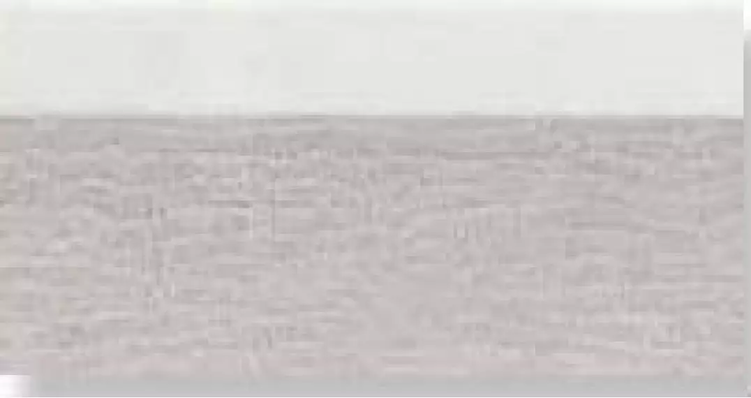 0556839 Tanduk Alzata Grigia 10x20