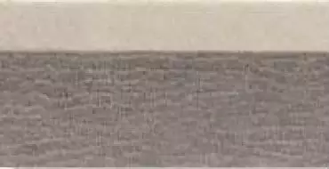 0556854 Tanduk Alzata Multic. 10x20