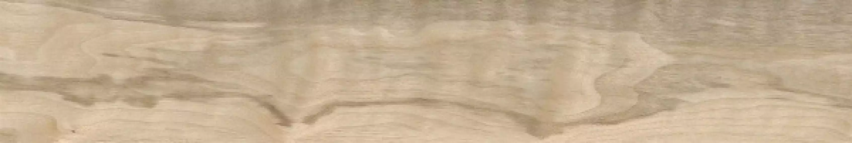 074.922.0119.13262 Керамогранит Walnut Sand 20x120