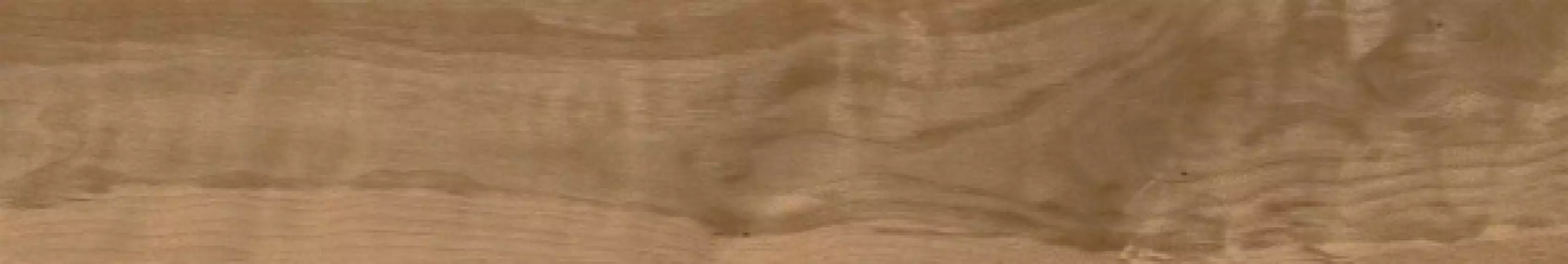 074.922.0369.13262 Керамогранит Walnut Tan 20x120