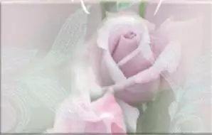 09-03-41-356-0 Розовый свет-1 40х25