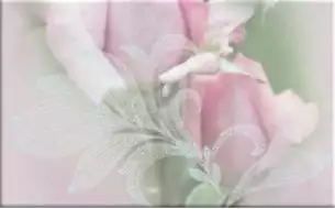 09-03-41-357-0 Розовый свет-2 40х25