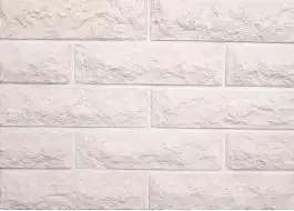 1-00-00 Доломит 29,5x7,8