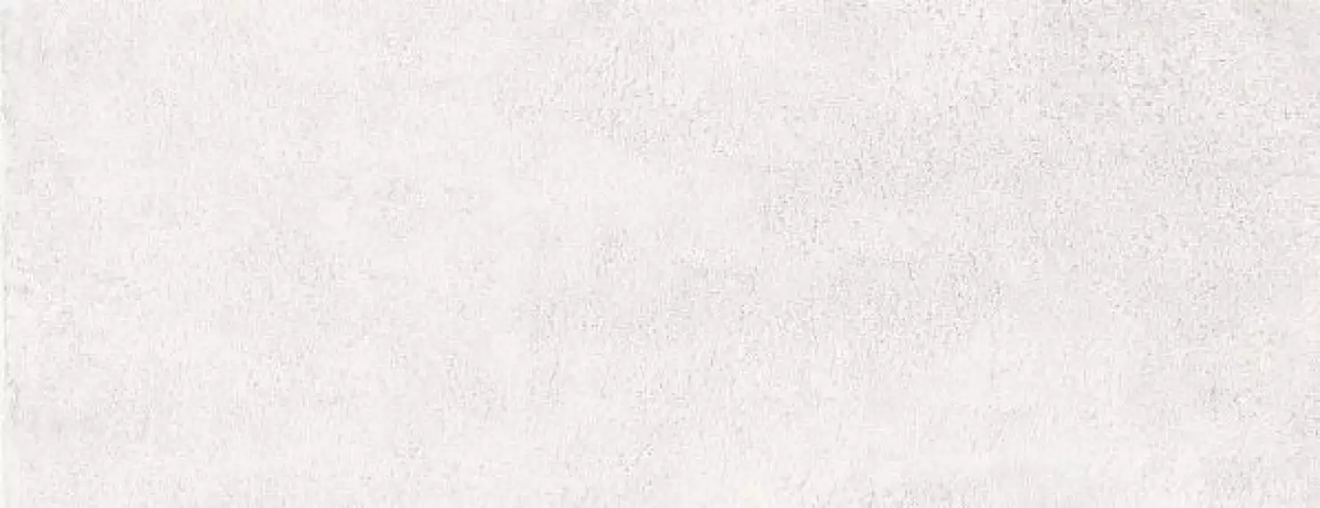 100156 Rev. RAKU SILVERY 26x60.5