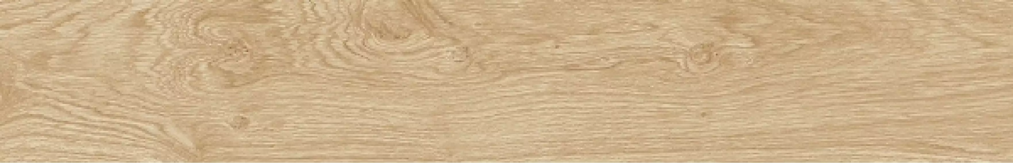 100287897 P18803801 Oxford Natural 19.3x120