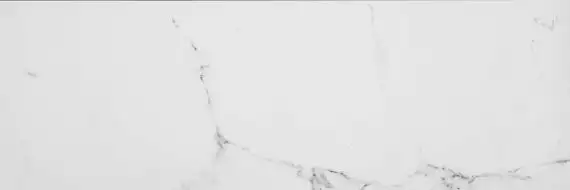 100291740 P19814151 Marmol Carrara Blanco 33.3x100