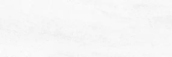 100295136 V1389741 Плитка Madagascar Blanco 33.3x100