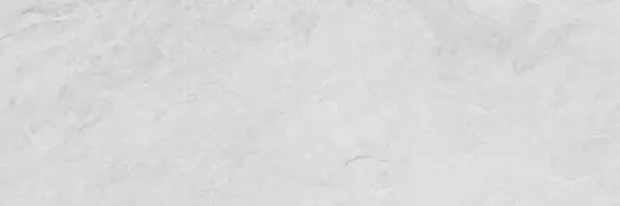 100295162 Плитка Image White 33.3x100