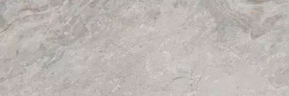 100295171 Плитка Image Silver 33.3x100