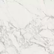 100296864 Dolomiti Brillo 59.6x59.6