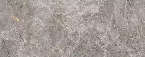 100303462 Elegant Grey 59.6x150