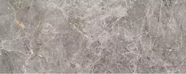 100303462 Elegant Grey 59.6x150