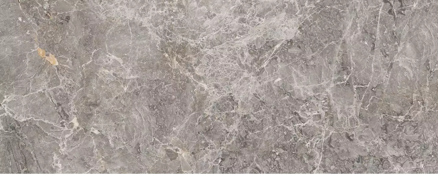100303462 Elegant Grey 59.6x150