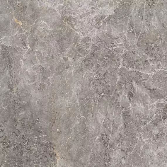 100305811 Elegant Grey Pulido 120x120