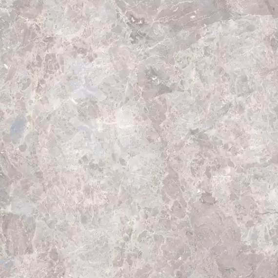 100307763 Elegant Bone polished 59.6x59.6