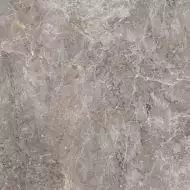 100307765 Elegant Grey polished 59.6x59.6