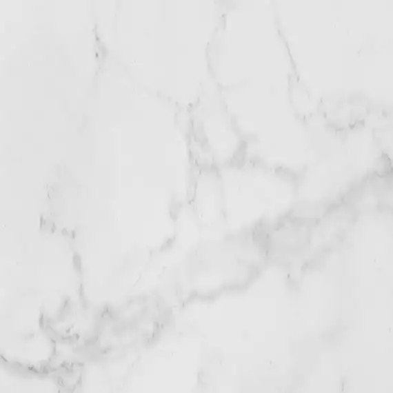 100325575 Carrara Blanco Brillo L 59.6x59.6