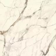 100331028 Плитка Calacata Gold Silk 120x120