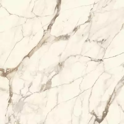 100331028 Плитка Calacata Gold Silk 120x120