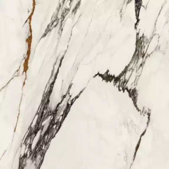 100331160 Керамогранит Xlight Paonazzo Biondo Silk 120x120