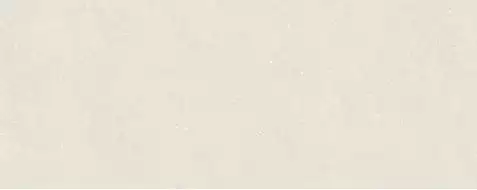 100347989 Плитка Terra Bone 59.6x150