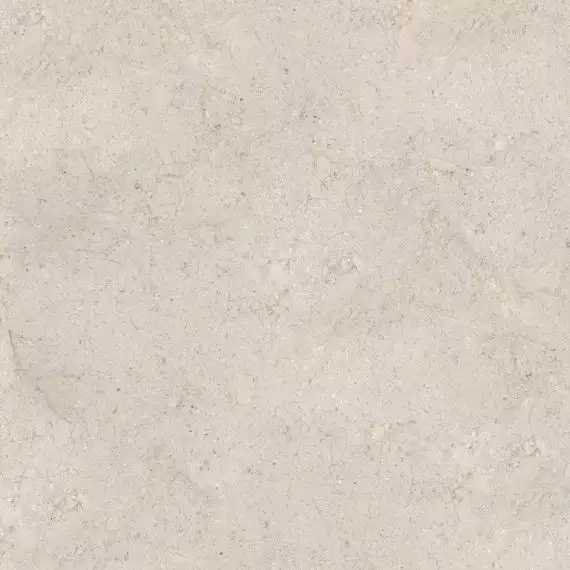100348020 Керамогранит Dorcia Bone L 120x120