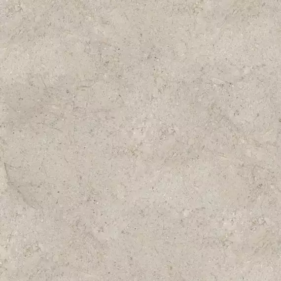 100348026 Керамогранит Dorcia Acero L 120x120
