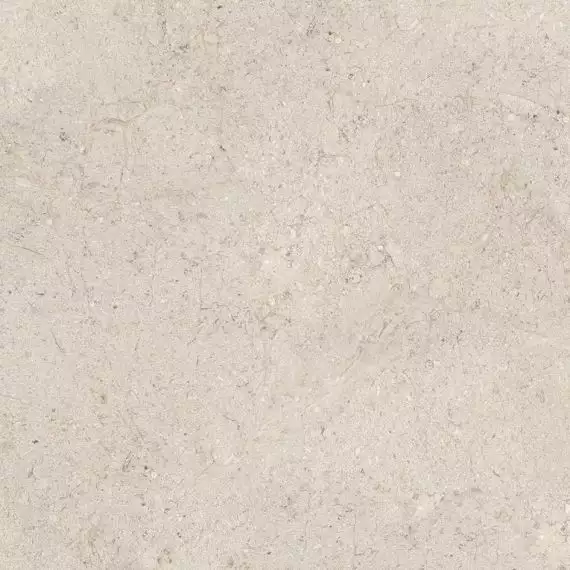 100348054 Керамогранит Dorcia Bone L 80x80