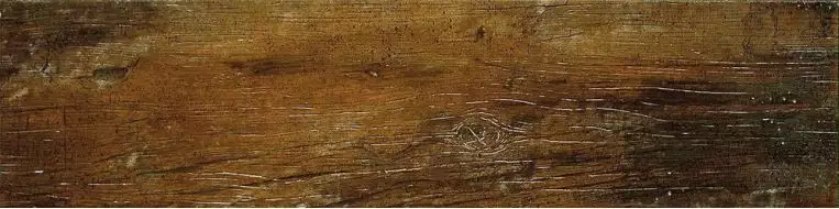 1003939 Golden Saddle 15x60.8