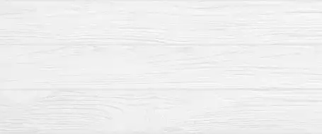 10100000457 Плитка Calypso Белый 60x25