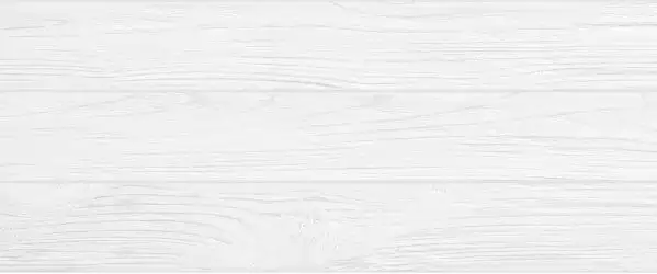 10100000457 Плитка Calypso Белый 60x25
