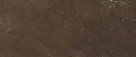 10100000501 Плитка Fiori Коричневый 60*25