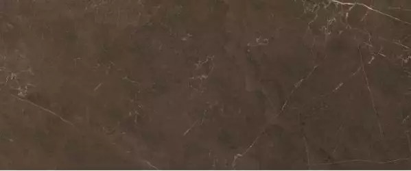 10100000501 Плитка Fiori Коричневый 60*25