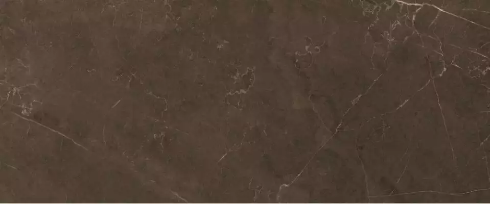 10100000501 Плитка Fiori Коричневый 60*25