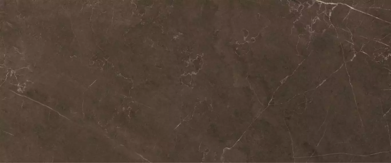 10100000501 Плитка Fiori Коричневый 60*25