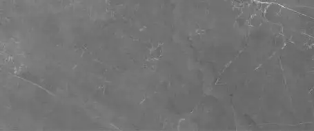 10100000529 Плитка Genevieve Темно-серый 02 60*25