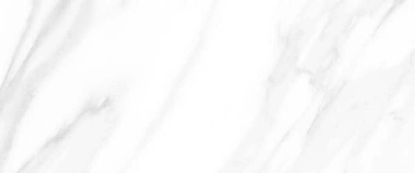 10100000553 Плитка MontBlanc Серый 60x25