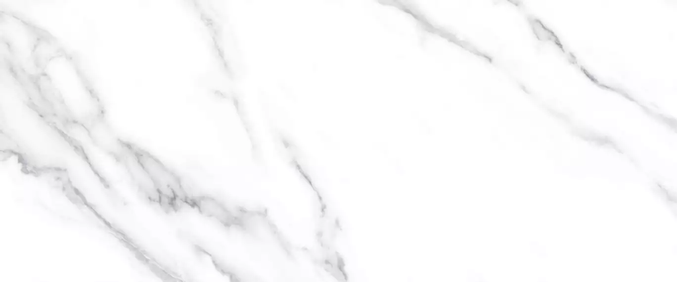 10100001333 Плитка Anima Белый 60*25