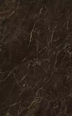 10101004710 Плитка Classic Коричневый 40*25